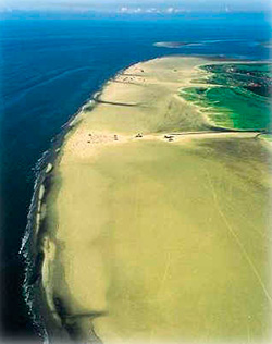 Reiten am Meer - Strandritte St. Peter-Ording